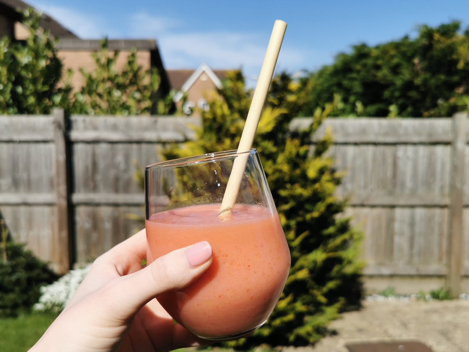 Mission Better Jungle Straw
