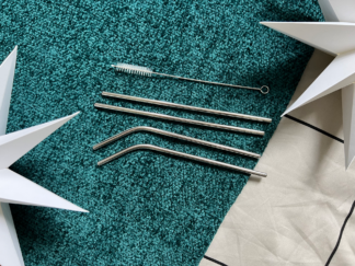 Xmas Stainless Steel Straws