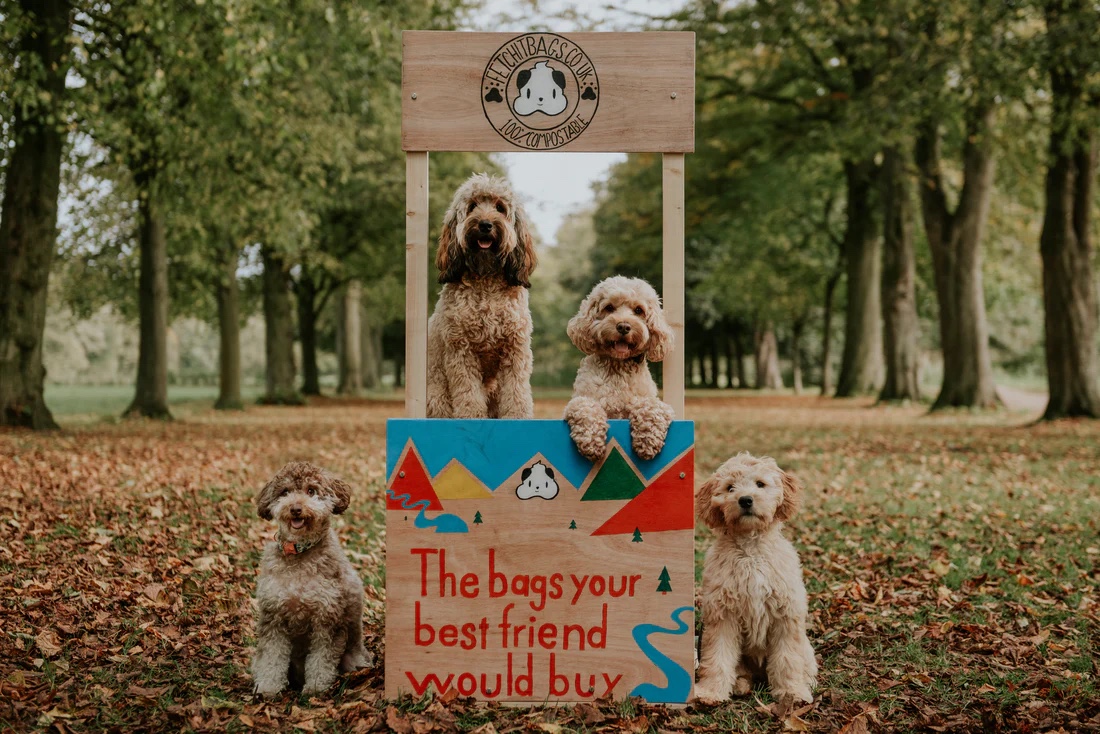 FETCHIT The Bags Your Best Friend Would Buy