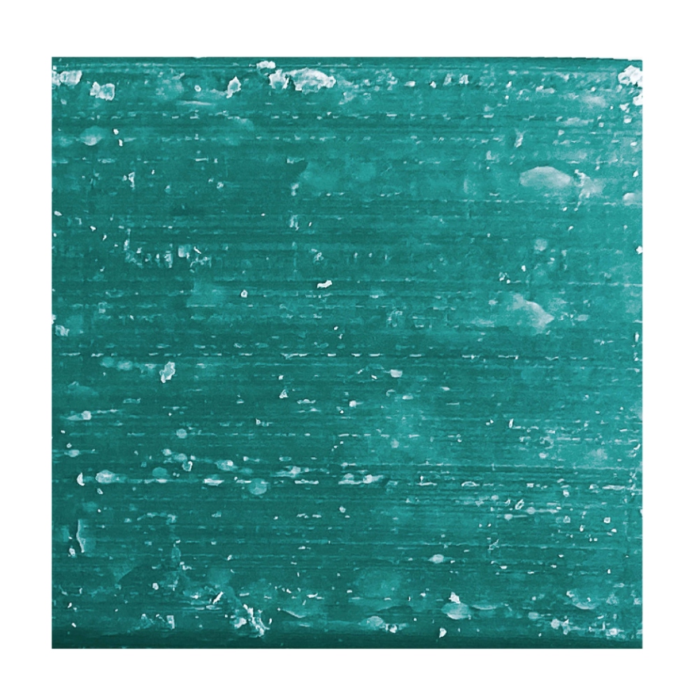 Shower Blocks fine and oily hair 2 in 1 shampoo and conditioner bar
